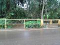 20150618_081310 (Copy)