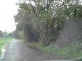 20150618_081552 (Copy)