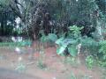 20150618_081604 (Copy)
