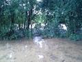 20150618_081911 (Copy)